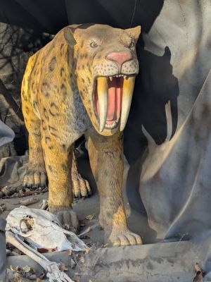 Backyard Terrors and Dinosaur Park by null