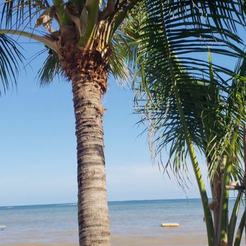 Maya Chan Beach - Mexican Near Me - Majahual, ROO Maya Chan Beach - Mexican Near Me - Majahual, ROO