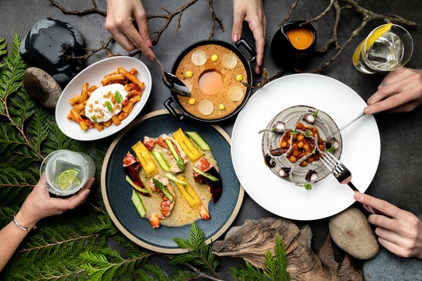 Wild Blue Restaurant + Bar by null