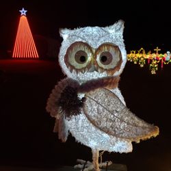 Woodams Christmas Lights - Our owl watches everyone who crosses our bridge...