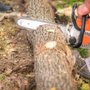 Photo of Benton Tree Service