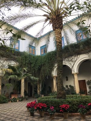 Palacio de Viana by null