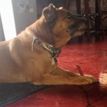 Buried Acorn Brewing Company - Brewpubs Near Me - Syracuse, New York Buried Acorn Brewing Company - Brewpubs Near Me - Syracuse, New York