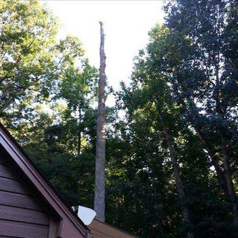 Andrew's Tree Pros - untitled - Tree Services Near Me - Wake Forest, North Carolina