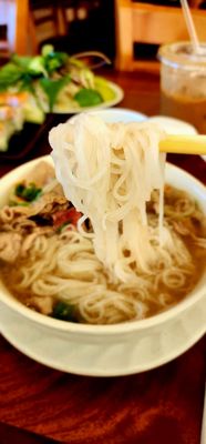 Noodle City by null
