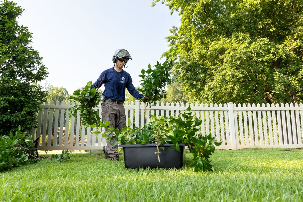 Humble Tree Professionals - veterans service organization in Raleigh, NC