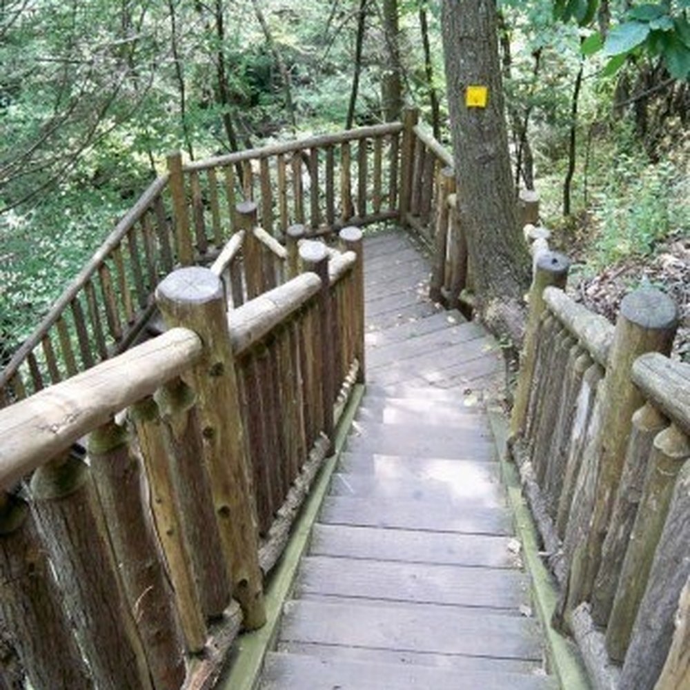 Bushkill Falls - Tours Near Me - Bushkill, Pennsylvania