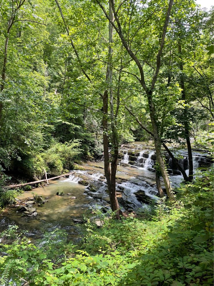 RED JASPER BEER GARDEN Updated November 2024 24 Photos & 10 Reviews