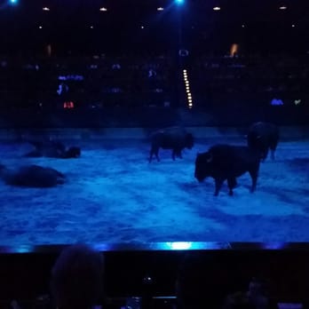Dolly Parton's Stampede - Performing Arts Near Me - Pigeon Forge, Tennessee