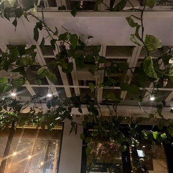 Published on Main - Interior - Tapas/Small Plates Near Me - Vancouver, British Columbia Published on Main - Interior - Tapas/Small Plates Near Me - Vancouver, British Columbia