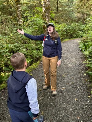 Alaska Rainforest Sanctuary by null