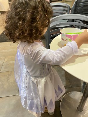 Yogurtland Garland by null