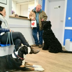 Tierarzt Dr. Pay Wiemer - Wartezimmer