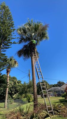 All Sides Landscape Design And Tree Trimming