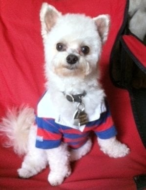 Cathy L McGinnis, LCSW - grief counselor in Arlington, TX