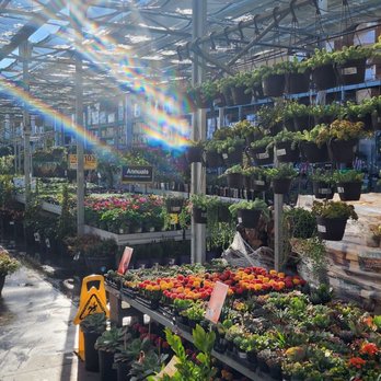 The Home Depot - It is such a beautiful garden area at this location. - Hardware Stores Near Me - Chula Vista, California The Home Depot - It is such a beautiful garden area at this location. - Hardware Stores Near Me - Chula Vista, California