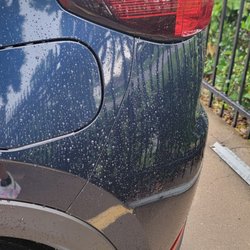 Best Collision Center - Repaired