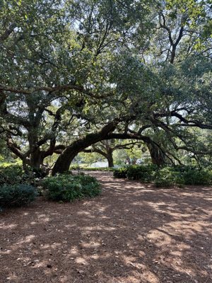 Grand Hotel Golf Resort & Spa, Autograph Collection by null