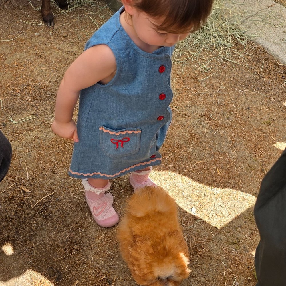 Experience Fable - Petting Zoos Near Me Experience Fable - Petting Zoos Near Me