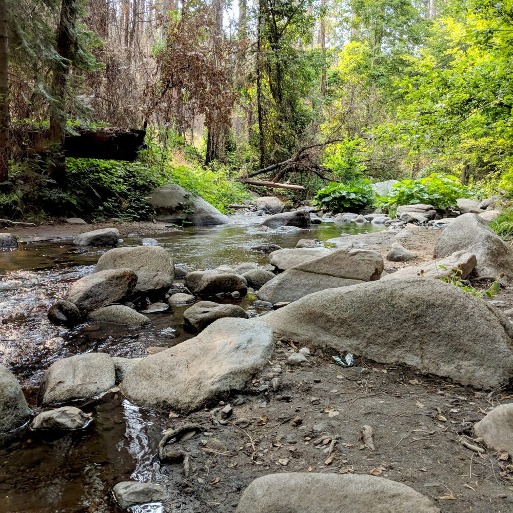 Lewis Creek Trail - Hiking Near Me Lewis Creek Trail - Hiking Near Me