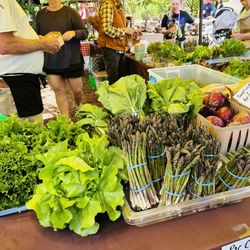 Rehoboth Farmers Market