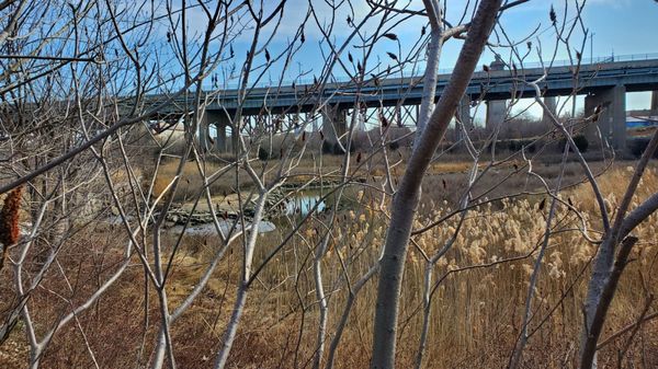 Randall's Island Park by null