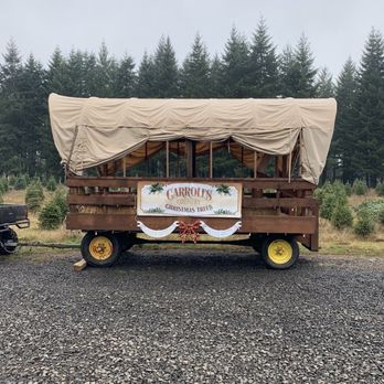Carroll's Country Christmas Trees - Christmas Trees Near Me - Veneta, Oregon