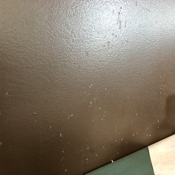 The Spaghetti Western T C Jester - Our booth wall hadn't been cleaned in a while. Cleanliness is an issue here. - Italian Near Me - Houston, Texas