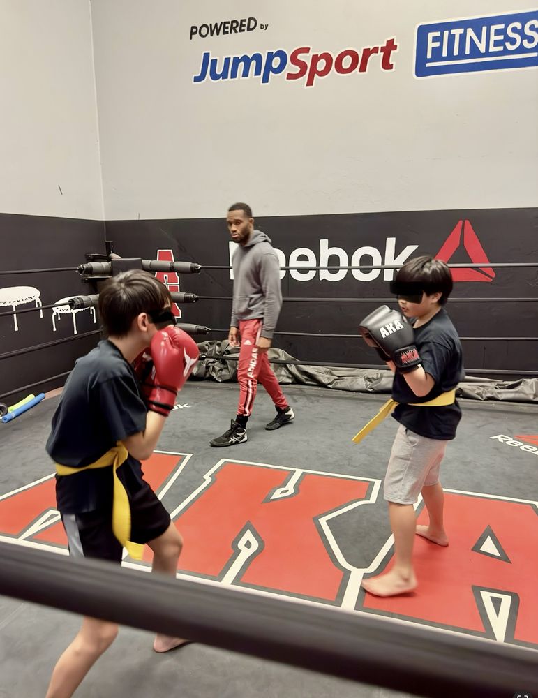 Thomas Diagne’s Private Kickboxing Lessons Logo