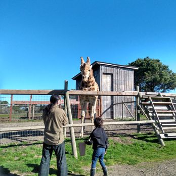 B Bryan Preserve - Aww. No fear. - Tours Near Me - Point Arena, California