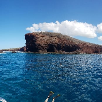 Makai Adventures - First snorkel spot at Sweetheart Rock - Boat Charters Near Me - Lahaina, Hawaii Makai Adventures - First snorkel spot at Sweetheart Rock - Boat Charters Near Me - Lahaina, Hawaii