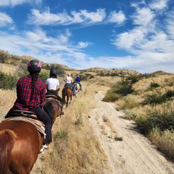 Saddle Up Wine Tours