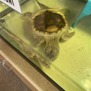 River Bend Nature Center - Community Service/Non-Profit Near Me - Wichita Falls, Texas River Bend Nature Center - Community Service/Non-Profit Near Me - Wichita Falls, Texas