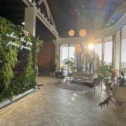 Eaze - A beautiful place to get your flower 3