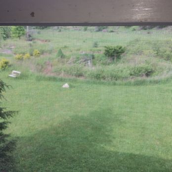 Mountain Quest Inn - The outside upkeep has not been done. The weeds are higher than the bench. - Bed & Breakfast Near Me - Frost, West Virginia