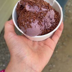 This was my black raspberry ice cream I ordered. Came out in 30 seconds and was delicious.