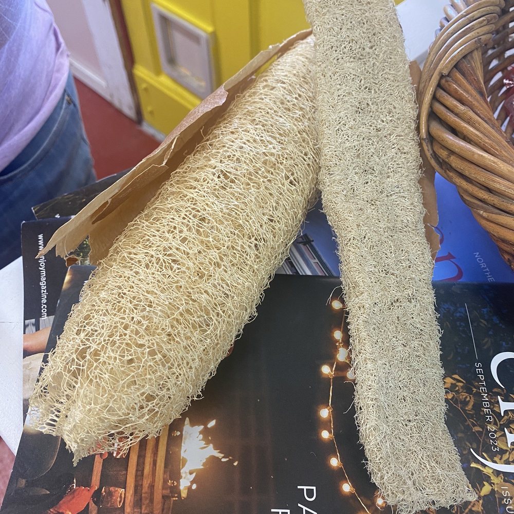 MoonBeam Farm - This fascinated me! Why did I think loofa only came from the sea? - Pick Your Own Farms Near Me - Corning, California MoonBeam Farm - This fascinated me! Why did I think loofa only came from the sea? - Pick Your Own Farms Near Me - Corning, California
