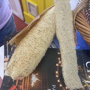 MoonBeam Farm - This fascinated me! Why did I think loofa only came from the sea? - Pick Your Own Farms Near Me - Corning, California MoonBeam Farm - This fascinated me! Why did I think loofa only came from the sea? - Pick Your Own Farms Near Me - Corning, California
