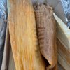 Tohano’s Tamales gift card