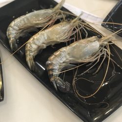 Shabu Zone - King shrimp