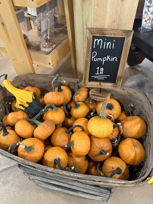 Big Red Orchard by null