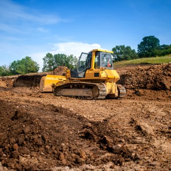 Ecology Tree - We handle tree, shrub, and stump removal, and provide precise land grading. - Tree Services Near Me - Northport, New York Ecology Tree - We handle tree, shrub, and stump removal, and provide precise land grading. - Tree Services Near Me - Northport, New York