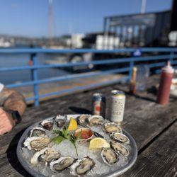 Fish - Fresh Oysters