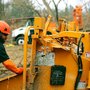 Photo of Princeton Tree Care
