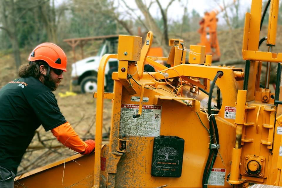 Princeton Tree Care - tree service in Lawrence Township, NJ