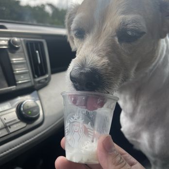 Starbucks - Coffee & Tea Near Me - Miami, Florida Starbucks - Coffee & Tea Near Me - Miami, Florida