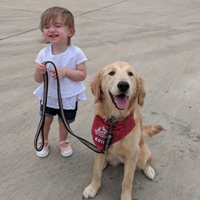 night and day k9 training