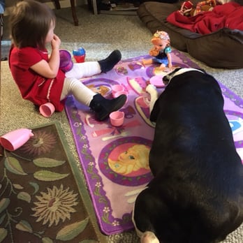 Chase Veterinary Clinic - Big bad pit bull mix Roxcee having a tea party with our Grand daughter. - Veterinarians Near Me - Middleboro, Massachusetts Chase Veterinary Clinic - Big bad pit bull mix Roxcee having a tea party with our Grand daughter. - Veterinarians Near Me - Middleboro, Massachusetts
