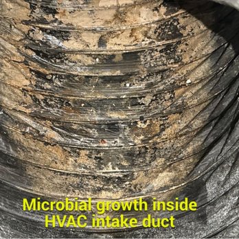 Space Coast Realty - Mold growing in the A/C ducts - Property Management Near Me - Palm Bay, Florida Space Coast Realty - Mold growing in the A/C ducts - Property Management Near Me - Palm Bay, Florida