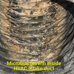Space Coast Realty - Mold growing in the A/C ducts